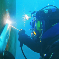 Seaweed Diving